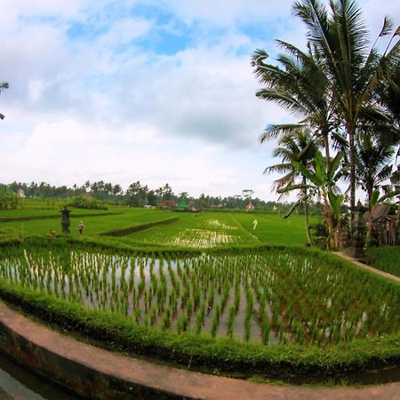 Vinarya Villa Ubud Exterior foto